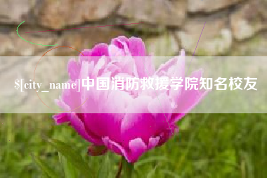伊川中国消防救援学院知名校友