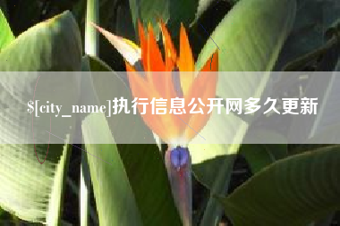 伊川执行信息公开网多久更新