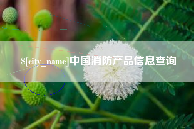 伊川中国消防产品信息查询