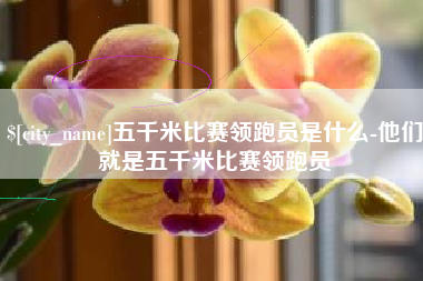 伊川五千米比赛领跑员是什么-他们就是五千米比赛领跑员