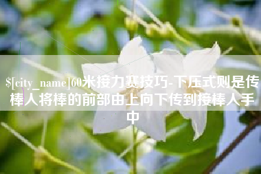 伊川60米接力赛技巧-下压式则是传棒人将棒的前部由上向下传到接棒人手中