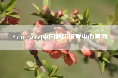 伊川中国消防报考中心官网
