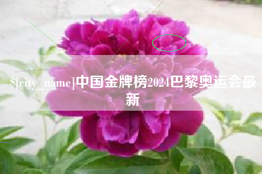 伊川中国金牌榜2024巴黎奥运会最新