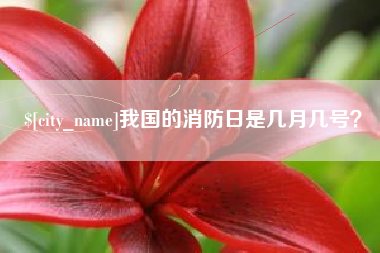 伊川我国的消防日是几月几号？