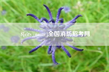 伊川全国消防招考网