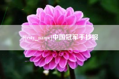 伊川中国冠军手抄报
