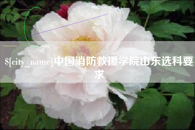 伊川中国消防救援学院山东选科要求