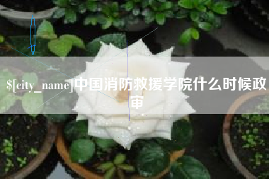 伊川中国消防救援学院什么时候政审