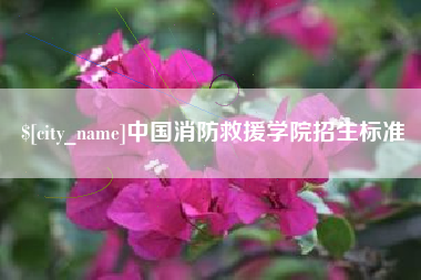伊川中国消防救援学院招生标准