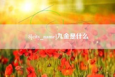 伊川九金是什么