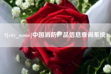 伊川中国消防产品信息查询系统1
