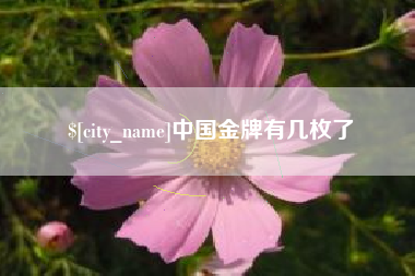 伊川中国金牌有几枚了