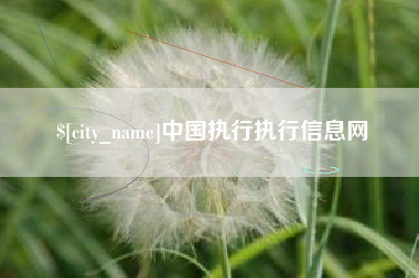 伊川中国执行执行信息网