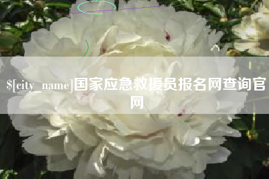 伊川国家应急救援员报名网查询官网