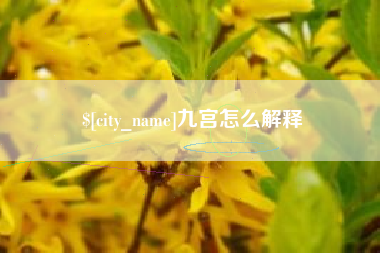 伊川九宫怎么解释