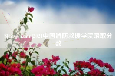 伊川2021中国消防救援学院录取分数
