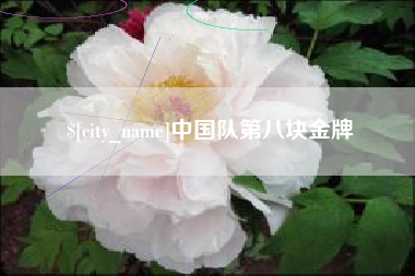 伊川中国队第八块金牌