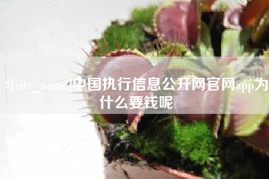 伊川中国执行信息公开网官网app为什么要钱呢