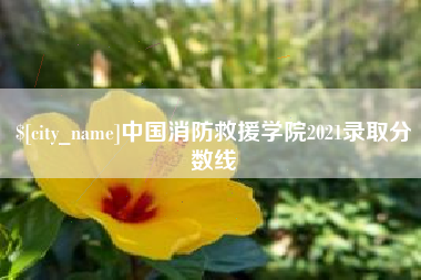 伊川中国消防救援学院2021录取分数线