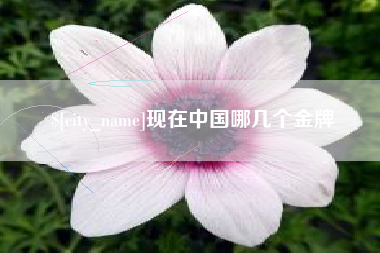 伊川现在中国哪几个金牌