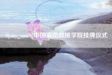 伊川中国消防救援学院挂牌仪式