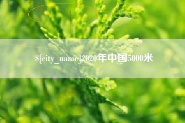 伊川2020年中国5000米