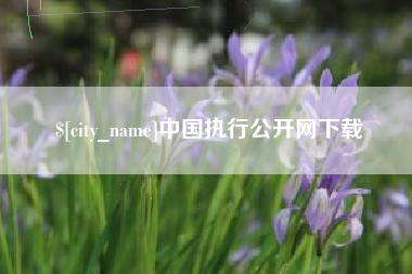 伊川中国执行公开网下载