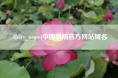 伊川中国消防官方网站域名