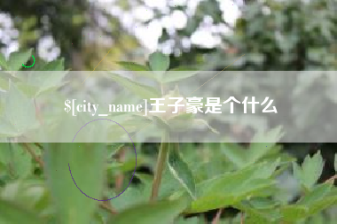 伊川王子豪是个什么