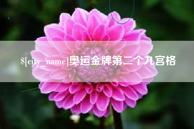 伊川奥运金牌第二个九宫格
