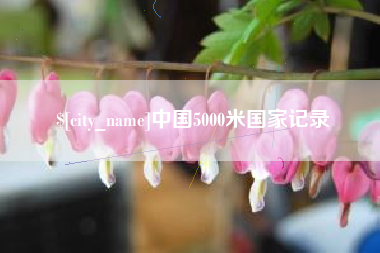 伊川中国5000米国家记录