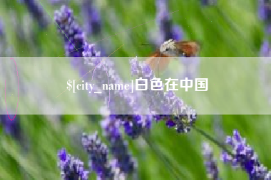 伊川白色在中国