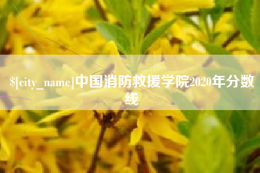 伊川中国消防救援学院2020年分数线