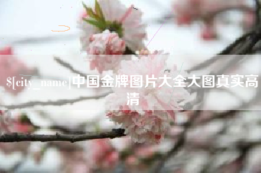 伊川中国金牌图片大全大图真实高清