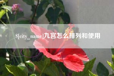 伊川九宫怎么排列和使用