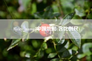 伊川中国地图(含比例尺)