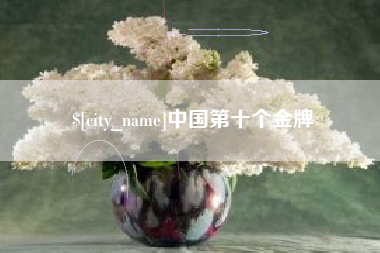 伊川中国第十个金牌