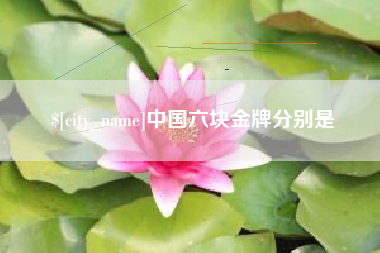 伊川中国六块金牌分别是