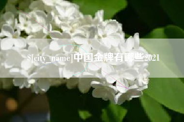 伊川中国金牌有哪些2021