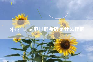 伊川中国的金牌是什么样的