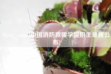 伊川中国消防救援学院招生章程公布!