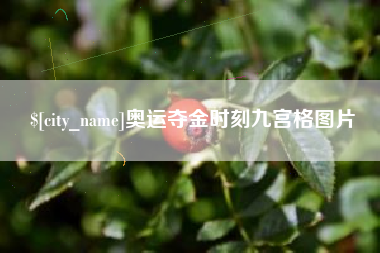 伊川奥运夺金时刻九宫格图片
