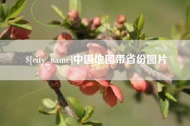 伊川中国地图带省份图片