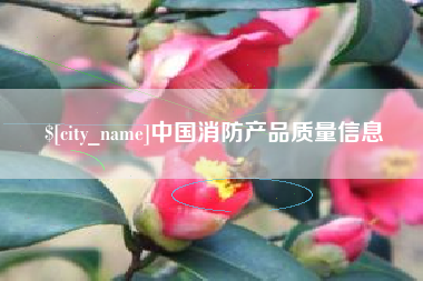 伊川中国消防产品质量信息