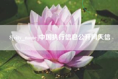 伊川中国执行信息公开网失信