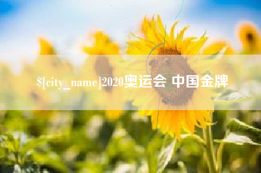 伊川2020奥运会 中国金牌