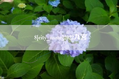 伊川2022九宫