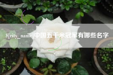 伊川中国五千米冠军有哪些名字