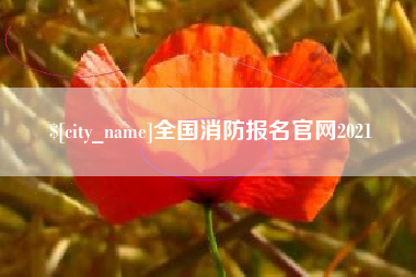 伊川全国消防报名官网2021