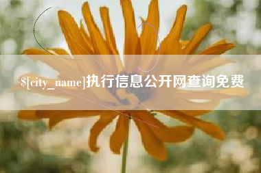 伊川执行信息公开网查询免费